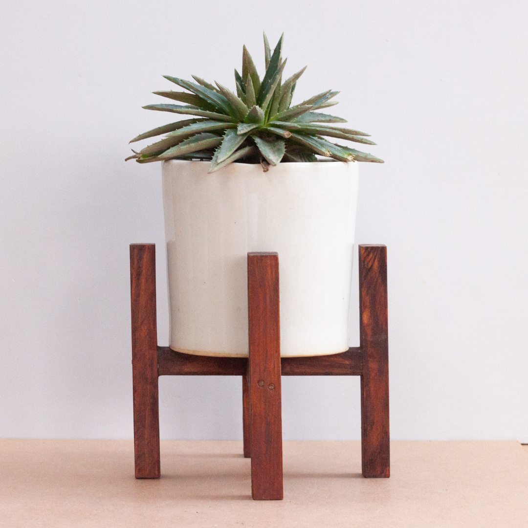 Unique wooden plant stand