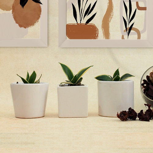 Set of Three Ceramic Planters For Table Top Image 1