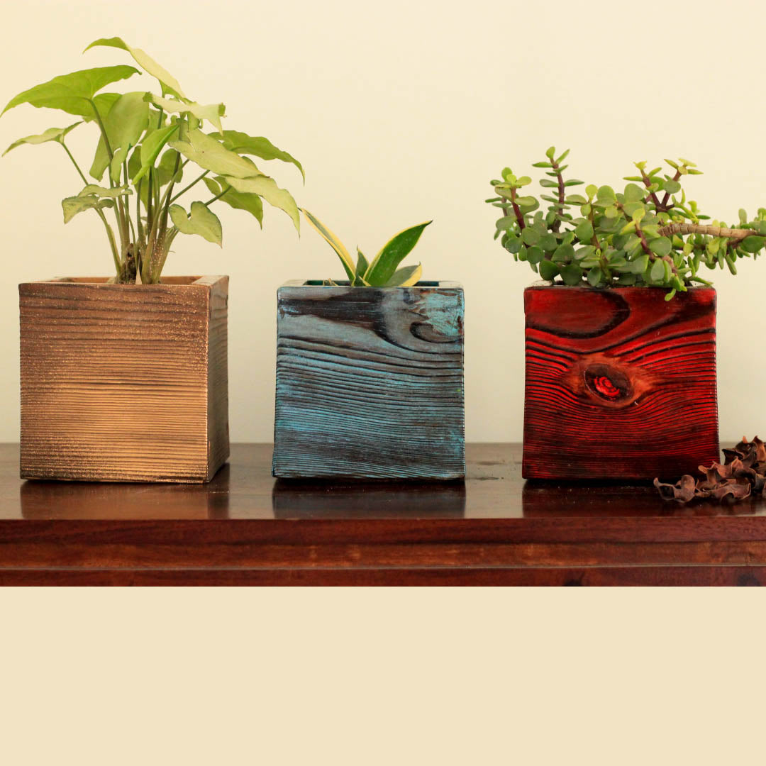 Peacock Multicoloured Solid Wood Planters for Table Top Image 3