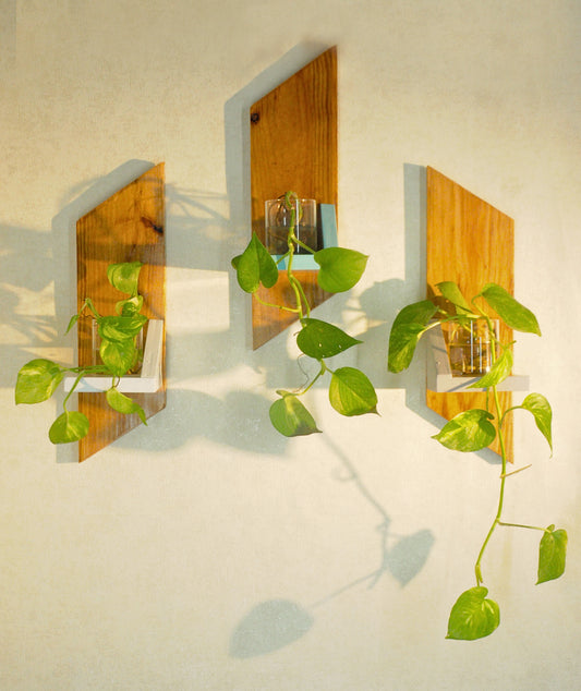 wall mounted plant stand