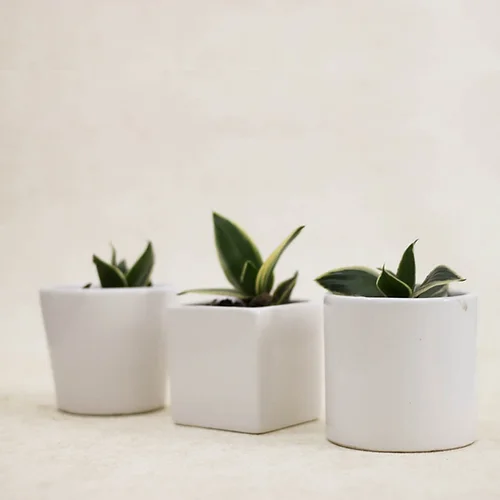 Set of Three Ceramic Planters For Table Top Image 3