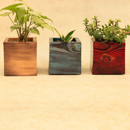 Peacock Multicoloured Solid Wood Planters for Table Top Image 4