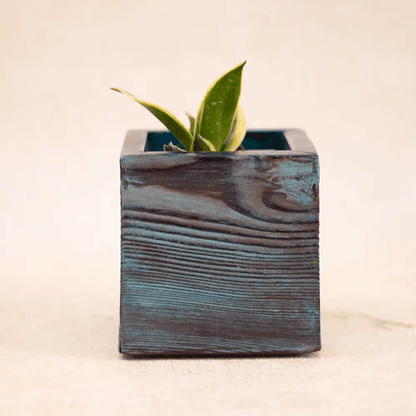 Happy Blue Solid Wood Planter For Table Top Image 4