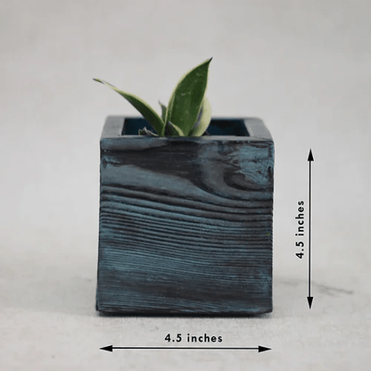 Happy Blue Solid Wood Planter For Table Top Image 5