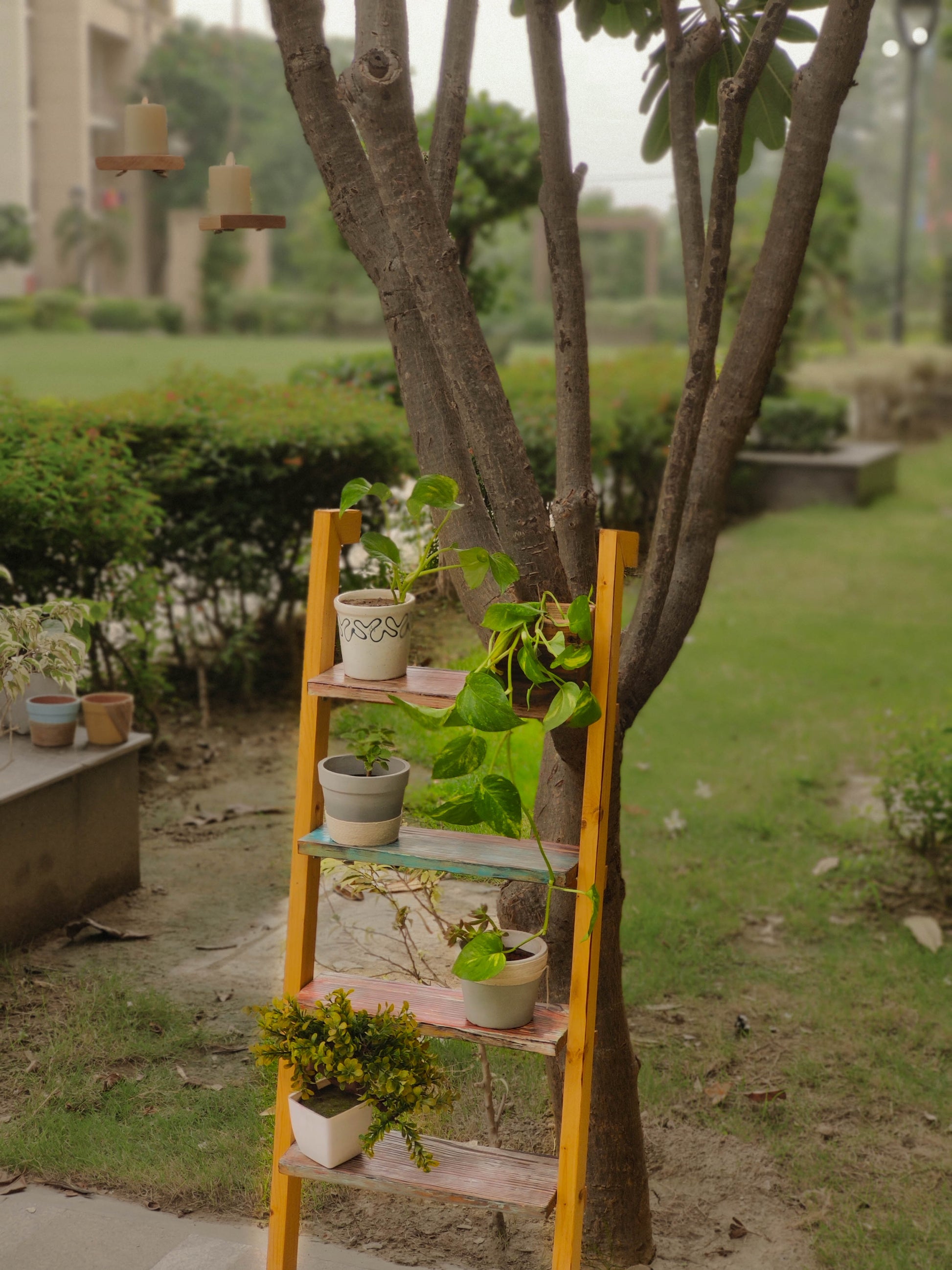 Ladder Lite - Multicoloured Solid Wood Multipurpose Floor Shelf For Books and Planters Image 5