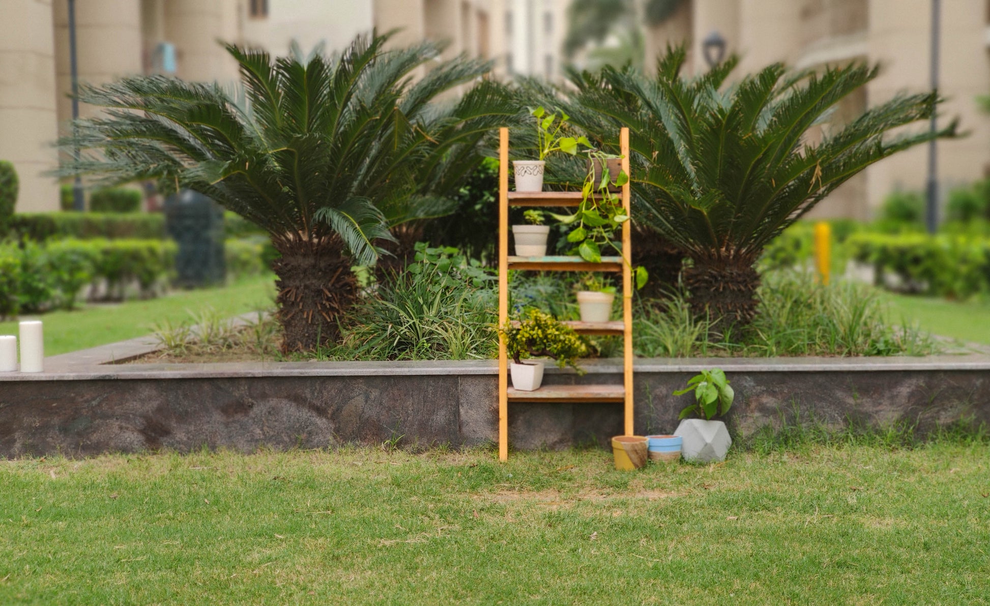 Ladder Lite - Multicoloured Solid Wood Multipurpose Floor Shelf For Books and Planters Image 6