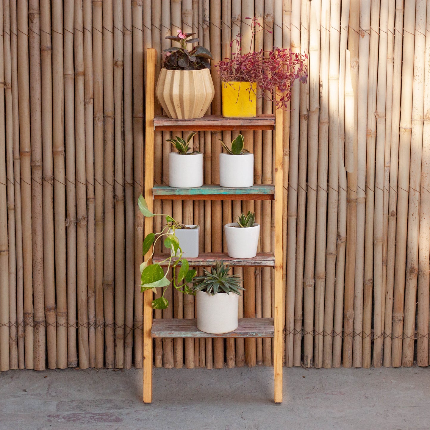 Ladder Lite - Multicoloured Solid Wood Multipurpose Floor Shelf For Books and Planters Image 4